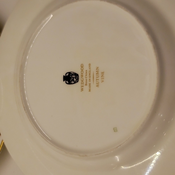 VINTAGE Set of 4 Wedgwood Autumn Vine Cup (2.5" x 3") and Saucer (6"diam… - Picture 5 of 8